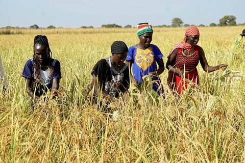 2019年の南スーダン食料危機に関して知っておくべき6つのこと | World Food Programme